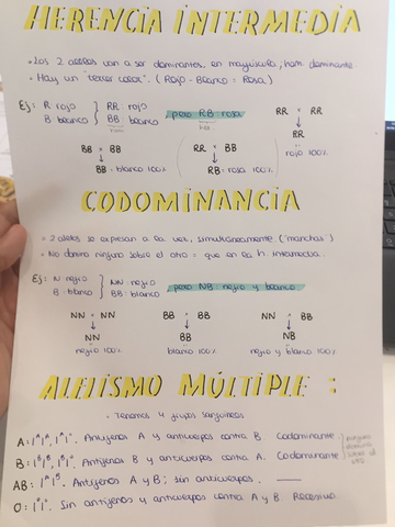 bio.jpg