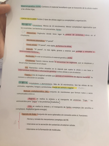 bio.jpg