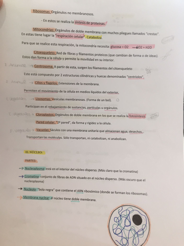 bio.jpg
