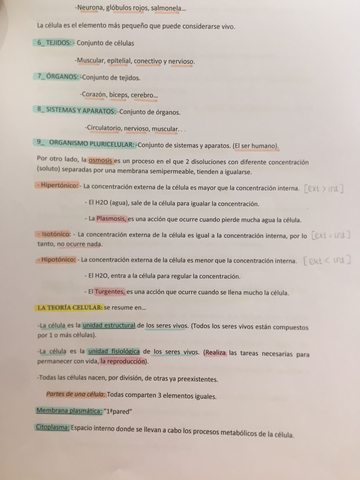 bio.jpg