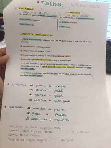 bio.jpg