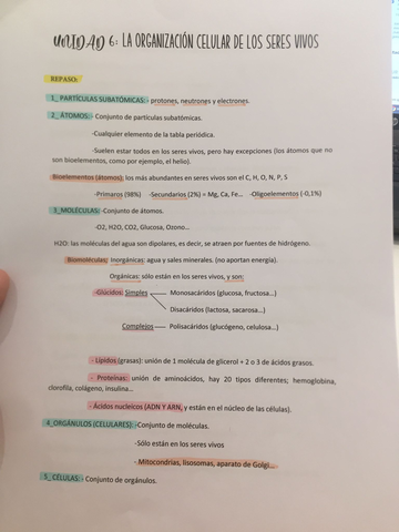 bio.jpg