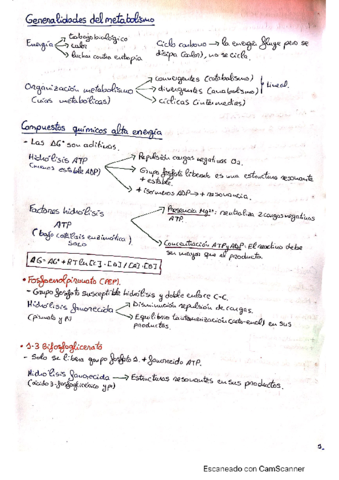 Apuntes-bioquimica-II.pdf