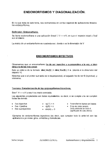 Tema6_Endomorfismos y Diagonalizacion.pdf