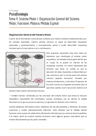 Tema-4-Psicofisiologia.pdf