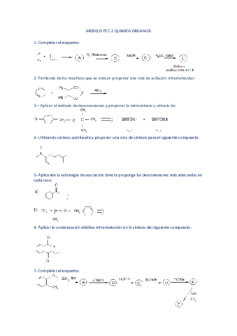 MODELO-PEC-2-mio.pdf