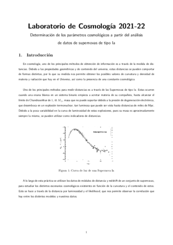 Cosmoroto-informe.pdf