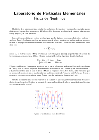 Neutrinos-Informe.pdf