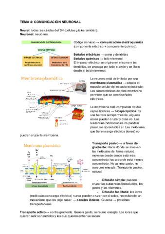 Comunicacion-neuronal.pdf