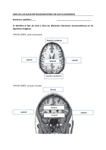 PRACTICA-EJES-actividad.pdf