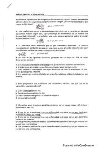 Practica-herencia.pdf