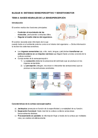 Bases-neurales-de-la-sensopercepcion.pdf
