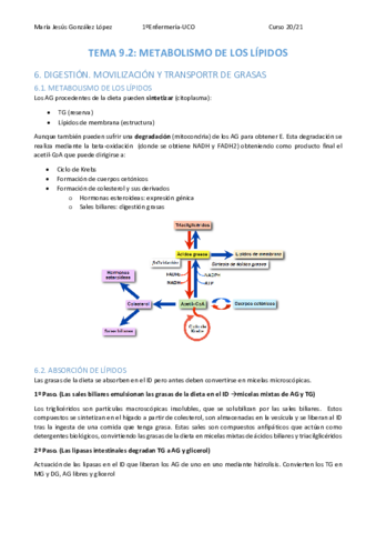 TEMA-9.pdf