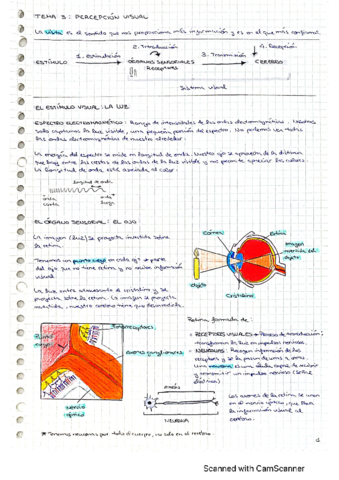 Percepcion Visual 1 Pdf