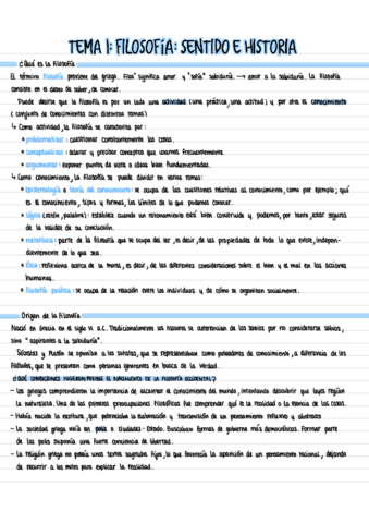 Tema-Sentido-e-Historia.pdf