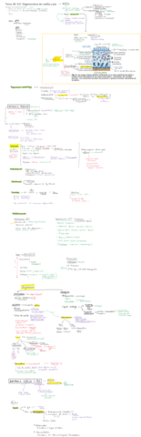 Tema-39.pdf