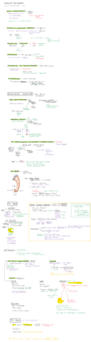 Tema-37.pdf
