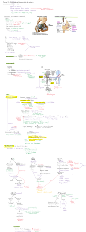 Tema-35.pdf