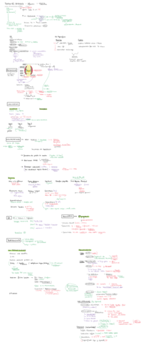 Tema-42.pdf