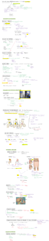 Tema-38.pdf