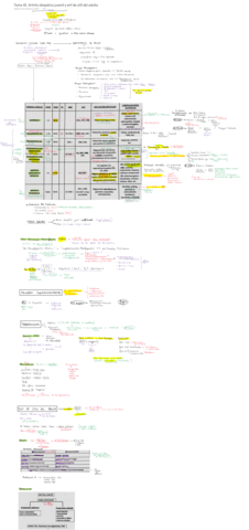Tema-45.pdf