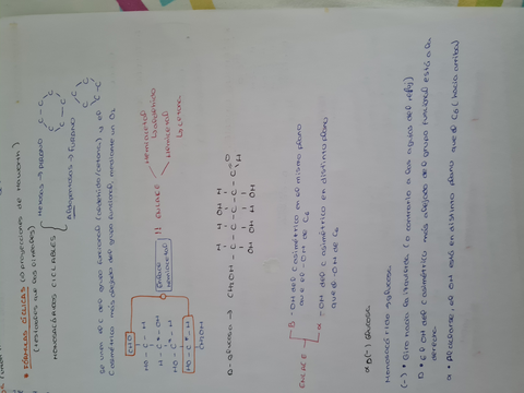 20210905183859.jpg