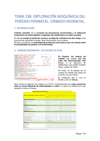 TEMA-13B.pdf