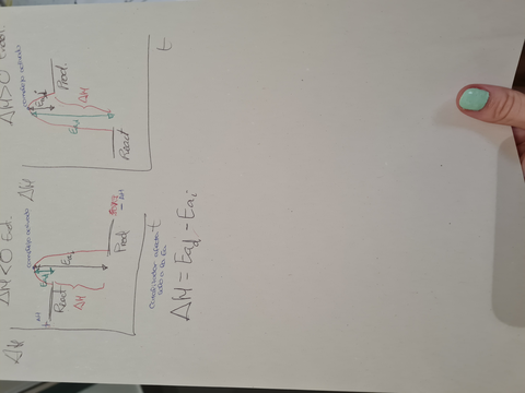20210905201107.jpg