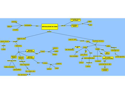 Articulacion-de-codo.pdf