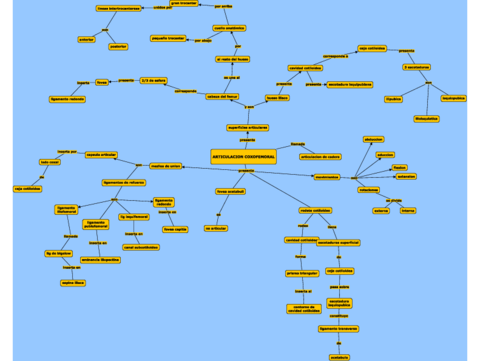 Articulacion-coxofemoral.pdf