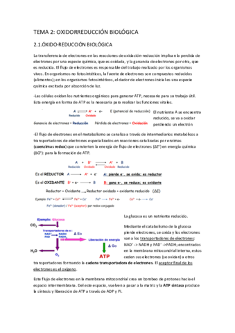 TEMA-2.pdf