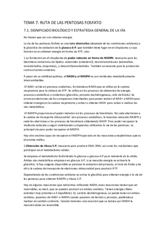 TEMA-7-2.pdf
