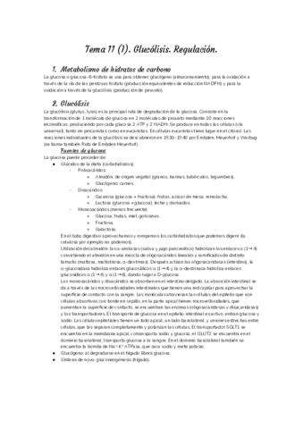 Tema-11-BQ.pdf