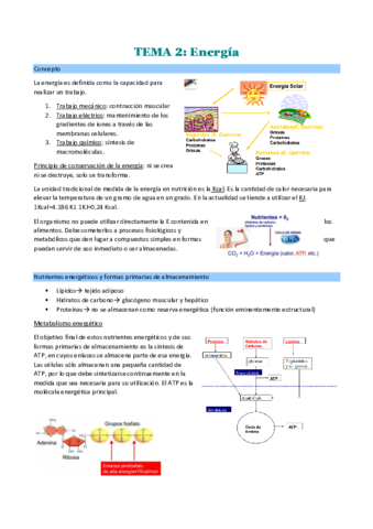 TEMA-2.pdf