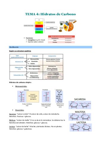 TEMA-4.pdf