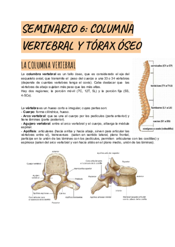 SEMINARIO-6.pdf