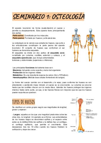 SEMINARIO-1-OSTEOLOGIA.pdf