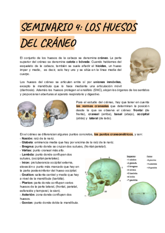 SEMINARIO-4.pdf