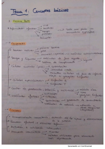 apuntes-muy-completos.pdf