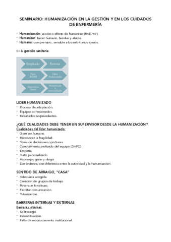 Seminario-Humanizacion.pdf