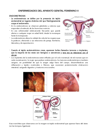 Enf-ap-genital-II.pdf