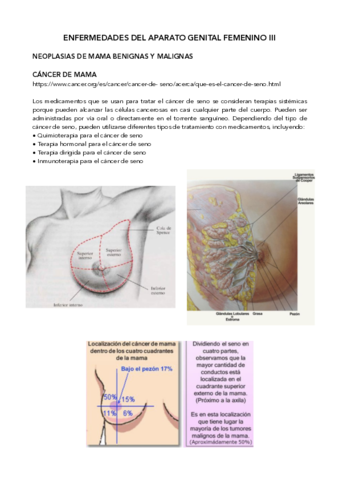 Enf-ap-genital-III.pdf