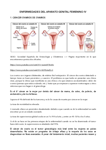 Ap-genital-femenino-IV.pdf