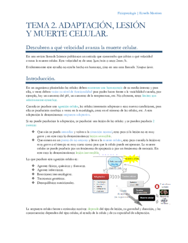Tema-2-Fisiopatologia.pdf