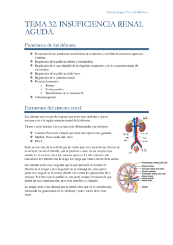 Tema-32-Fisiopatologia.pdf