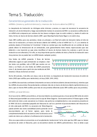 Tema-5.pdf