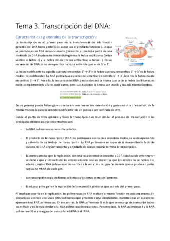 Tema-3.pdf