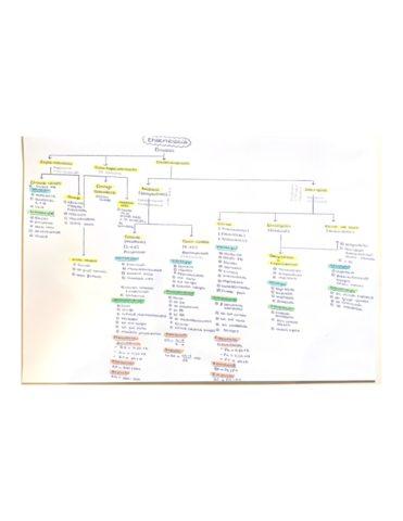 Esquema-estudios-epidemiologia.pdf
