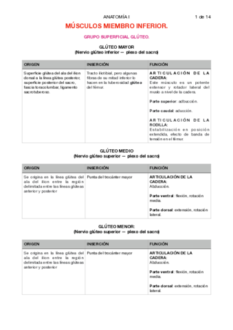 tablas-musculos-miembro-inferior.pdf