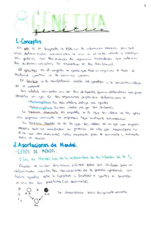 tema-8-genetic.pdf